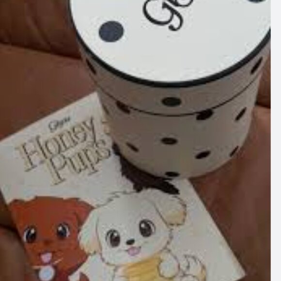 NWT Exclusive Gisou Honey Pup and Lip Mask - Picture 4 of 7